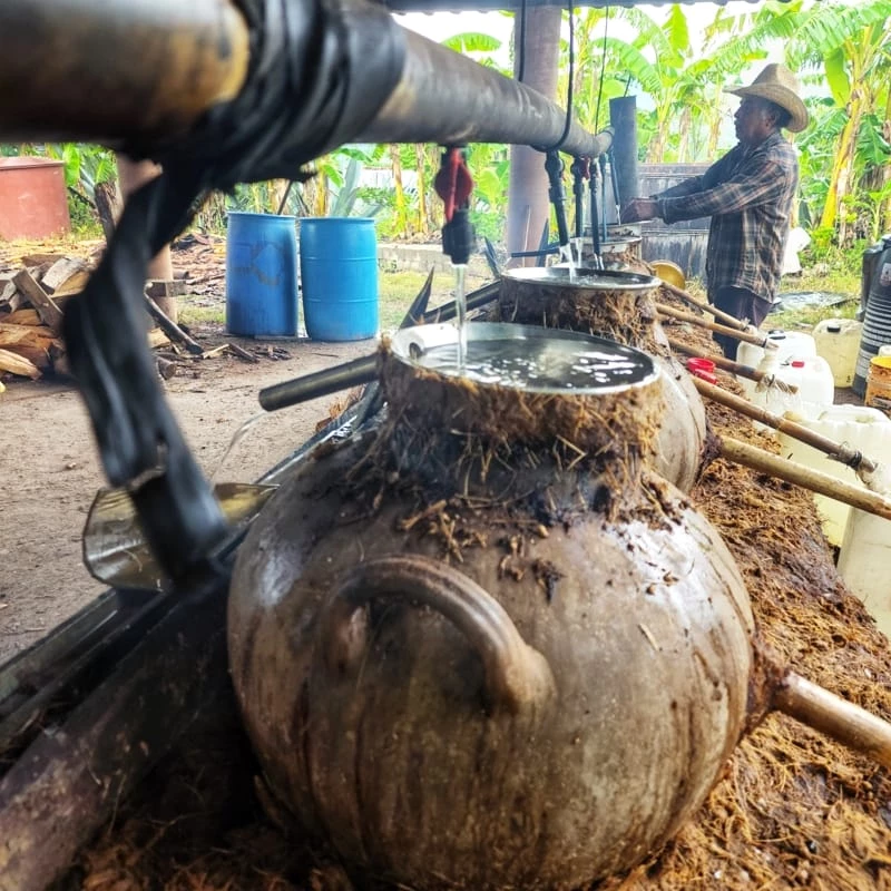 Route 2: Mezcal & Alebrije Workshop